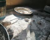 Foto del paso 3 de la receta: Ñoquis de boniato