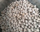 Foto langkah ke 5 dari resep Boba Tapioca Pearl Brown Sugar Homemade.