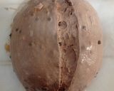 Foto langkah ke 18 dari resep Orange Peel Double Chocolate Sourdough Bread (Oven Tangkring).