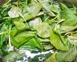 Foto langkah ke 1 dari resep Urap Sayur.