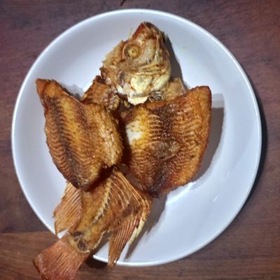 Langkah 6