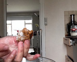 Foto langkah ke 6 dari resep Kukis Gelang.