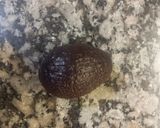 Foto del paso 6 de la receta: Sándwich de Huevo Revuelto y Atún