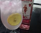 Foto del paso 3 de la receta: Beefeater Pink Collins