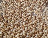 Foto del paso 2 de la receta: Platillo tradicional: SEGUEZA