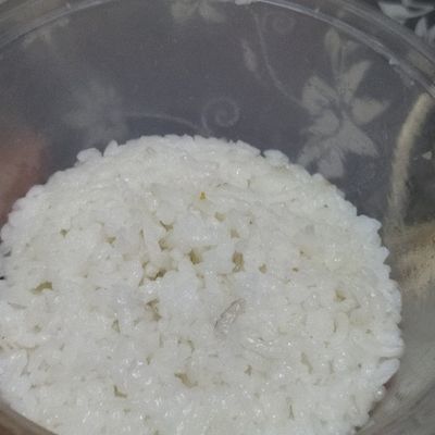 Langkah 7