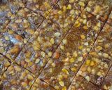 ड्राई फ्रूट चिक्की (dry fruit chikki recipe in Hindi) रेसिपी चरण 6 फोटो