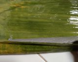 Foto langkah ke 5 dari resep Jongkong Ireng (Lanun Ireng/Ireng Ireng-Ireng).