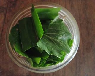 Es Cendol Sawi - Step 1
