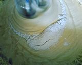 Foto langkah ke 5 dari resep Marble Pound Cake.