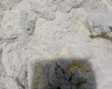 Foto langkah ke 1 dari resep Lapis Surabaya Ekonomis.