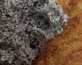 Foto del paso 2 de la receta: Crema Oreo