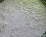 Foto del paso 5 de la receta: Salsa tipo tzatziki de pepino, kiwi, crema vegana y Agua de Mar