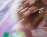 Foto del paso 8 de la receta: Alfajor de fécula de mandioca