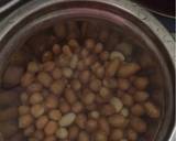 Peanut Milk and Paneer recipe step 1 photo