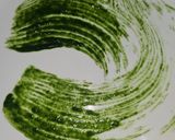 Foto del paso 1 de la receta: Merluza con salsa de berberechos y culis de espinacas con espuma