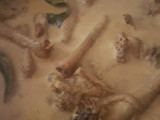 Kare ayam kampung lebaran