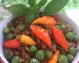 Foto langkah ke 5 dari resep Ulukutek Leunca.