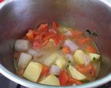 A picture of step 3 of Sig's Light Tomato and Shallot Stew.