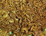 Foto langkah ke 3 dari resep Mie Kriuk (Camilan).