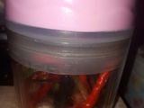 Sambal Kecombrang