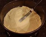 Apple Crumb Cake recipe step 12 photo