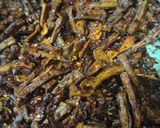 Gambar langkah 7 resipi Dry Fish Azay.