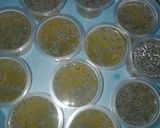 Foto langkah ke 3 dari resep Puding Jeniper Mint.