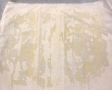 Foto del paso 6 de la receta: Strudel de manzana
