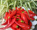 صورة لخطوة 1 من وصفة هريسة صنع منزلي🌶️🌶️