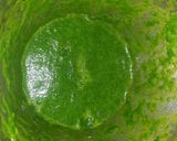 A picture of step 1 of Palak paratha.