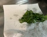 Une image de l'étape 4 de Salade Feuille de Chêne aux Oignons Nouveaux et Persil Plat.