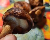 Foto del paso 4 de la receta: Hamburguesas de Mijo, Soja hongos y vegetales