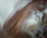 Foto langkah ke 2 dari resep Bolnut Cantik dan Segar.