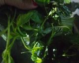 Foto langkah ke 3 dari resep Bening Bayam, Wortel, Jagung.