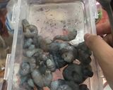 Foto langkah ke 3 dari resep Ayam udang giling bungkus- bayi & dewasa.
