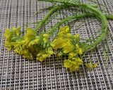 Foto langkah ke 1 dari resep Tumis Bunga Caisim.