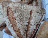 Fűszeres rozs zsemle recept fázis 4 fotója