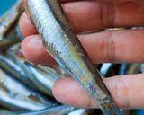Foto del paso 1 de la receta: Boquerones fritos en freidora de aire sin casi aceite