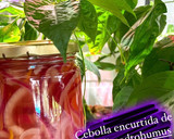 Foto del paso 6 de la receta: Cebolla encurtida con habanero