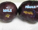 A picture of step 1 of Spanish eggplants with molasses.