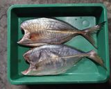 Foto langkah ke 1 dari resep Ikan Bakar Rempah.