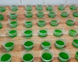 Foto langkah ke 2 dari resep Puding Semangka Cup.