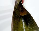 Foto del paso 5 de la receta: Hallacas venezolanas