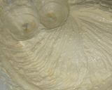 Foto del paso 2 de la receta: Rico pastel de chocolate