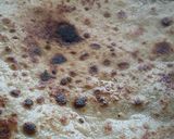 A picture of step 5 of Aloo Paratha.
