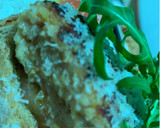 Foto del paso 5 de la receta: Tosta de pollo, tomate y rúcula!!