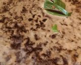 Foto langkah ke 3 dari resep Sirup Gula Merah Kental.