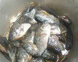 Foto langkah ke 1 dari resep Ikan kecap colo colo simpel.