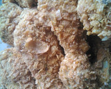Foto del paso 6 de la receta: Pollo casero estilo KFC
